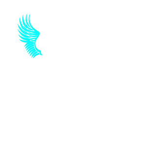 Vnimateln0's emblem