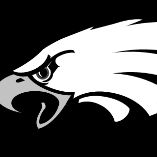 TeamEagle Oficial's emblem