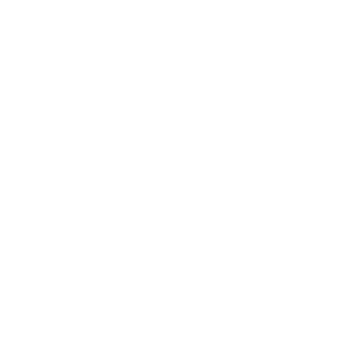 brushday's emblem
