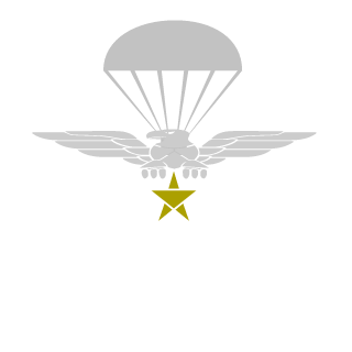 PAO72's emblem