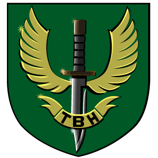 TBH The Bounty Hunters's emblem