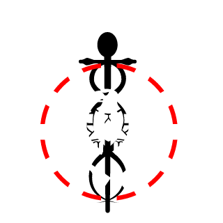 424Borg's emblem
