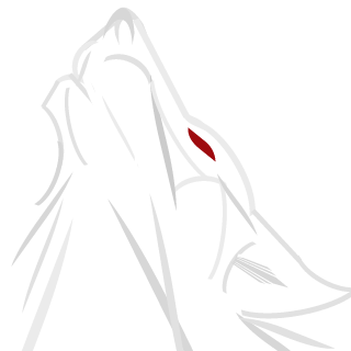 J7stR's emblem