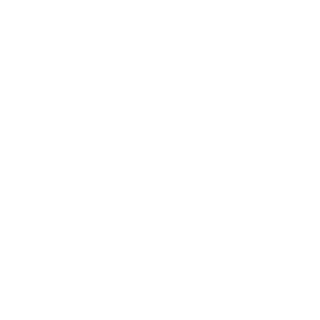seelefps's emblem