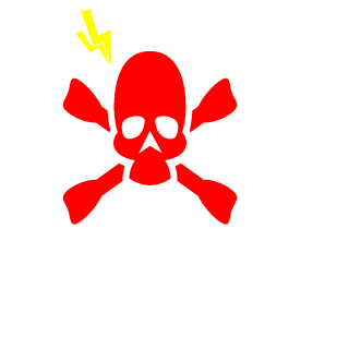 p2rdik2007's emblem