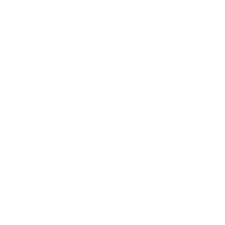 sldfrk's emblem