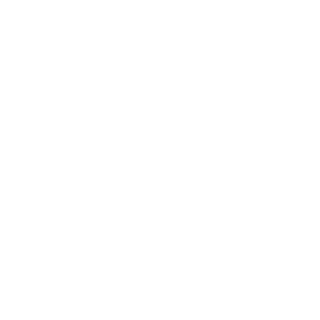 80wolf19's emblem