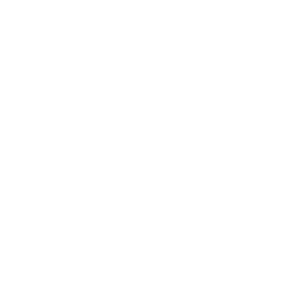 TaBsiGer_Amur's emblem