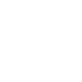 LE4RNING's emblem