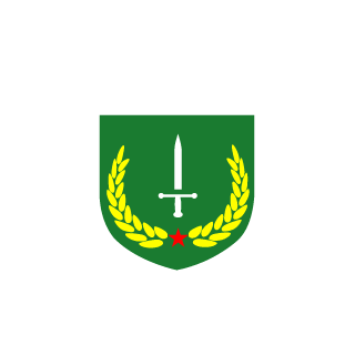CTOSaiden's emblem