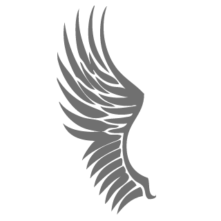 blackhole9014's emblem