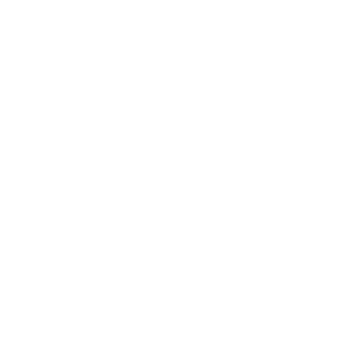 snakejr_brr's emblem