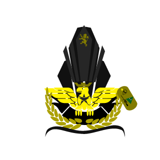 1_Skava_1's emblem
