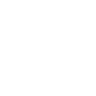 ZapperBoy's emblem