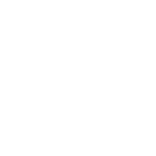 T0RL0N's emblem