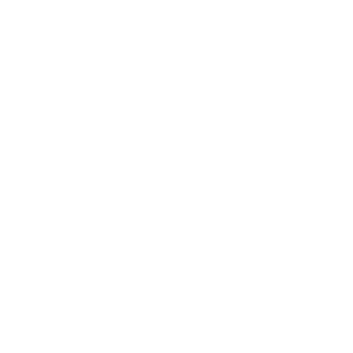 n8plm's emblem