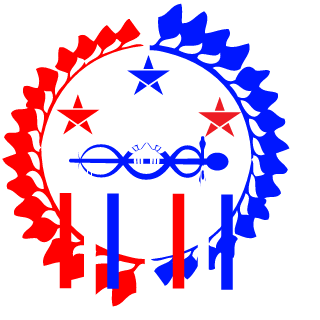 Viper64bit's emblem