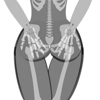 Himmiowner's emblem