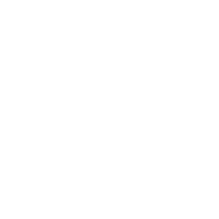 FranciscoEvt1's emblem