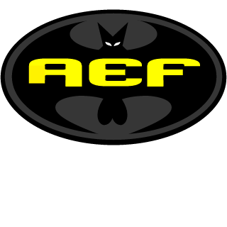 OthicGaming's emblem
