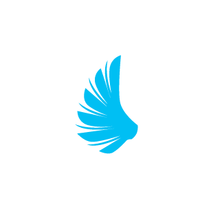 Chokowi_rus's emblem