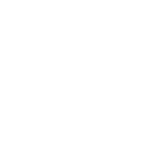 SiiDL's emblem