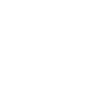 SilverWolf-YL's emblem