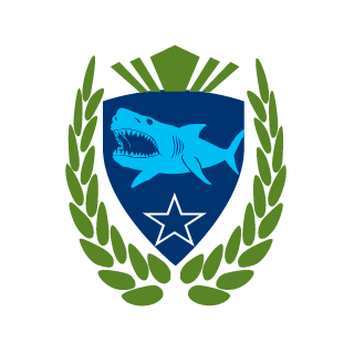 CaptStar's emblem