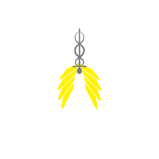 Xynarim's emblem