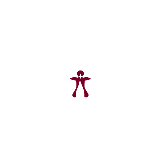 vadlanyou's emblem
