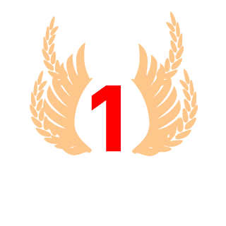 hoinnj's emblem