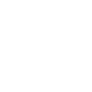 DarkWhiteZV's emblem