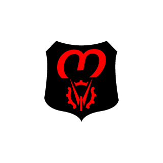 4pokinator228's emblem