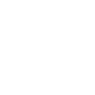Bleachi3's emblem