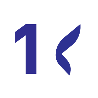 1Niksons1's emblem