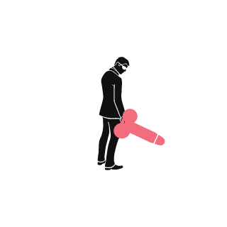 samusaranrom's emblem
