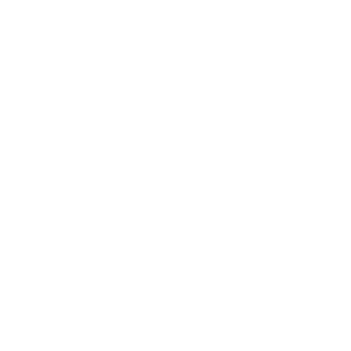 allumaxx's emblem