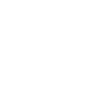 EL3CTROCAT17's emblem