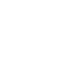 DARKxENVY's emblem