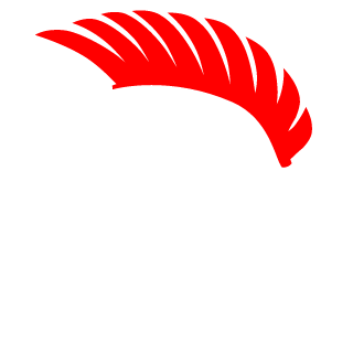 MindundisVallecas's emblem