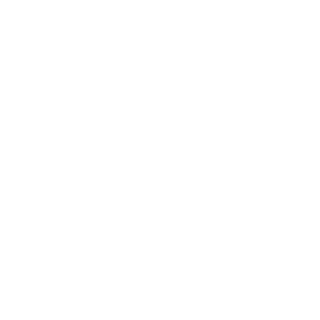 Denali365's emblem