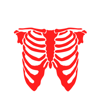 FaS4ik's emblem