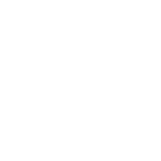 Kiviboy's emblem