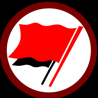 AcogOtter's emblem
