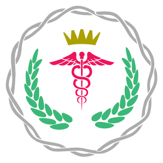 SinYang13's emblem