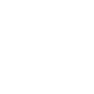 pakon90's emblem