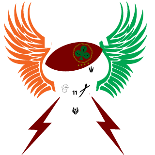 Flyingirishman11's emblem