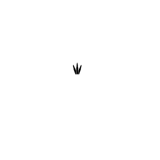 SOPERONE's emblem