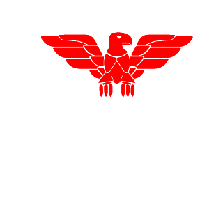 P_BurY_P's emblem