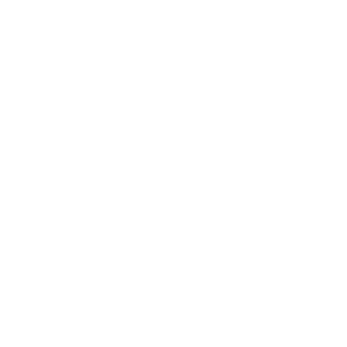 Bisutoy's emblem